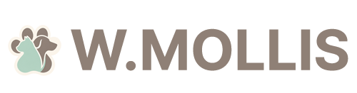 W.MOLLIS brand vision